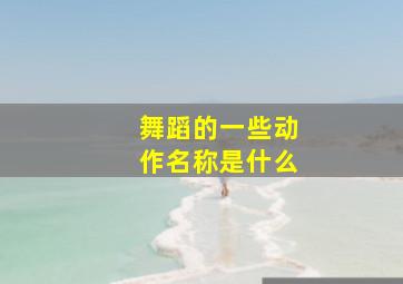 舞蹈的一些动作名称是什么