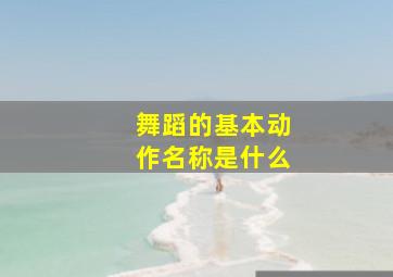 舞蹈的基本动作名称是什么