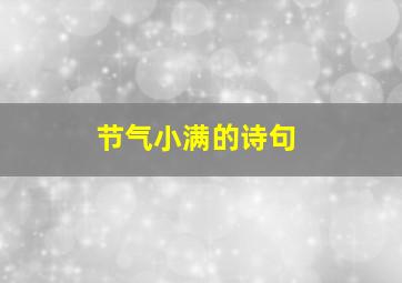 节气小满的诗句