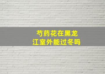 芍药花在黑龙江室外能过冬吗