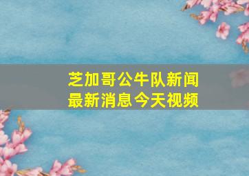 芝加哥公牛队新闻最新消息今天视频