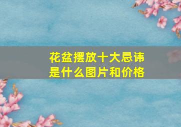 花盆摆放十大忌讳是什么图片和价格