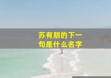 苏有朋的下一句是什么名字