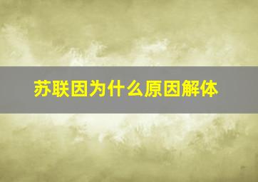 苏联因为什么原因解体