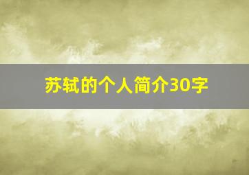 苏轼的个人简介30字