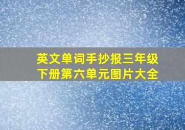 英文单词手抄报三年级下册第六单元图片大全