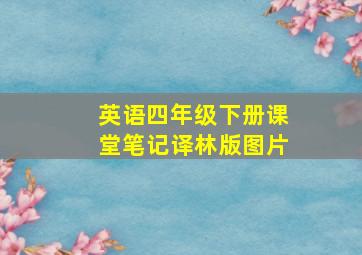 英语四年级下册课堂笔记译林版图片