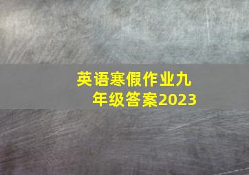 英语寒假作业九年级答案2023