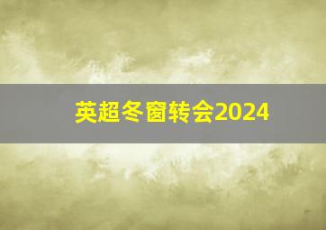 英超冬窗转会2024