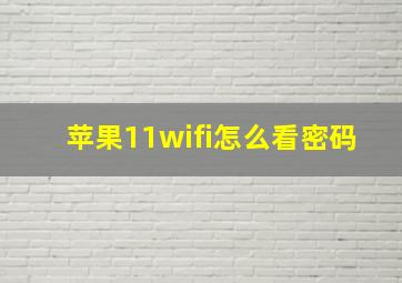 苹果11wifi怎么看密码