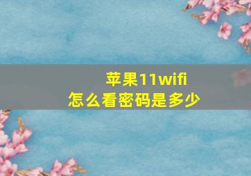 苹果11wifi怎么看密码是多少