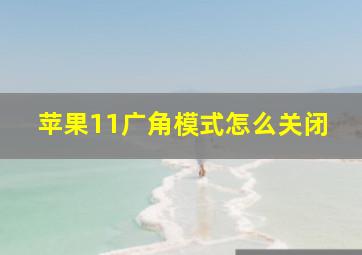 苹果11广角模式怎么关闭