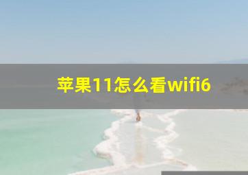 苹果11怎么看wifi6