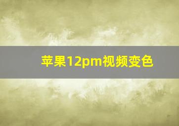 苹果12pm视频变色