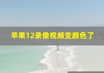 苹果12录像视频变颜色了