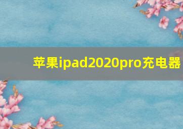 苹果ipad2020pro充电器