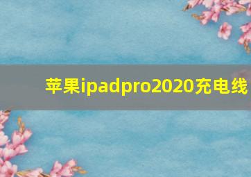 苹果ipadpro2020充电线