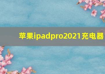 苹果ipadpro2021充电器