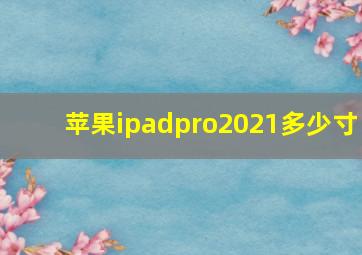 苹果ipadpro2021多少寸