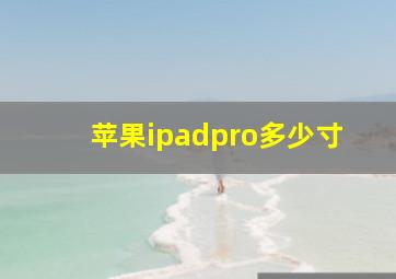 苹果ipadpro多少寸