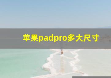 苹果padpro多大尺寸