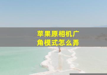 苹果原相机广角模式怎么弄