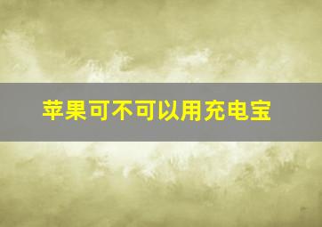 苹果可不可以用充电宝