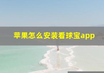 苹果怎么安装看球宝app