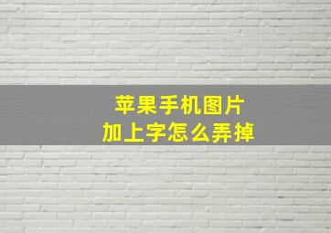 苹果手机图片加上字怎么弄掉