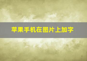 苹果手机在图片上加字