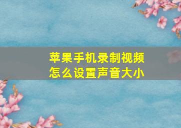 苹果手机录制视频怎么设置声音大小