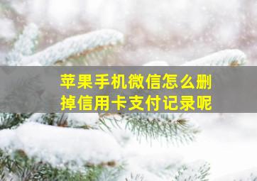 苹果手机微信怎么删掉信用卡支付记录呢