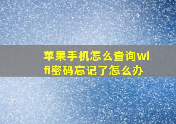 苹果手机怎么查询wifi密码忘记了怎么办