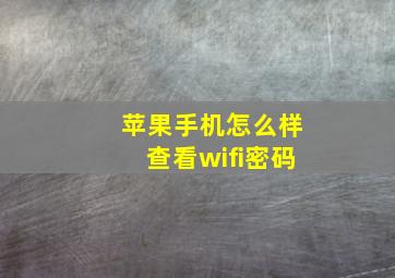 苹果手机怎么样查看wifi密码