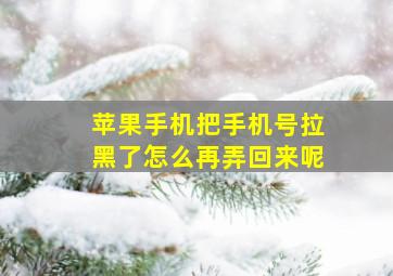 苹果手机把手机号拉黑了怎么再弄回来呢