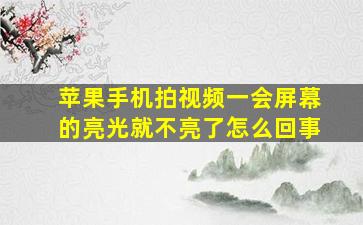 苹果手机拍视频一会屏幕的亮光就不亮了怎么回事