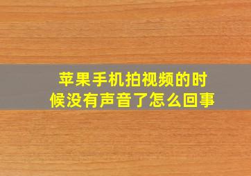 苹果手机拍视频的时候没有声音了怎么回事