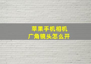 苹果手机相机广角镜头怎么开