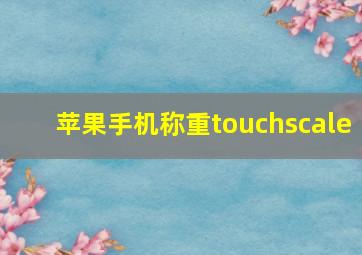 苹果手机称重touchscale