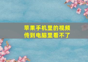 苹果手机里的视频传到电脑里看不了