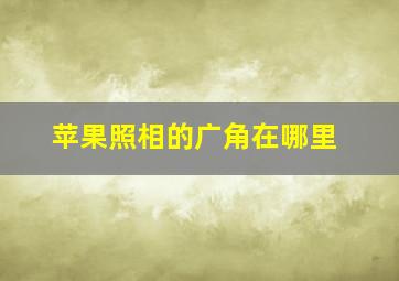 苹果照相的广角在哪里