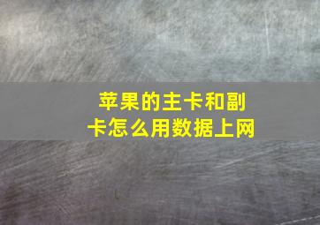 苹果的主卡和副卡怎么用数据上网