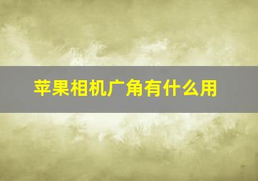 苹果相机广角有什么用