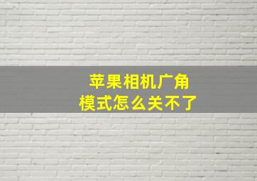 苹果相机广角模式怎么关不了