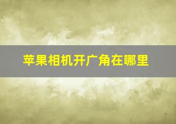 苹果相机开广角在哪里