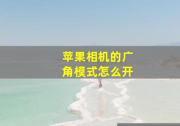 苹果相机的广角模式怎么开