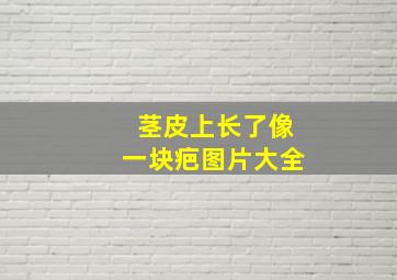 茎皮上长了像一块疤图片大全