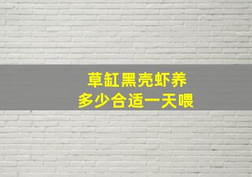 草缸黑壳虾养多少合适一天喂