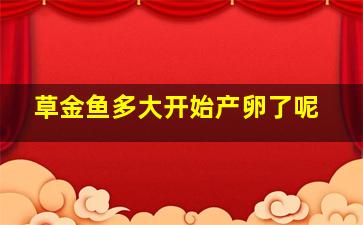 草金鱼多大开始产卵了呢