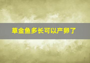 草金鱼多长可以产卵了